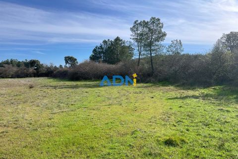 Terra a Ninho do Acor, Castelo Branco, Ninho do Acor - € 69.000 | Ref: 125006 - foto 18