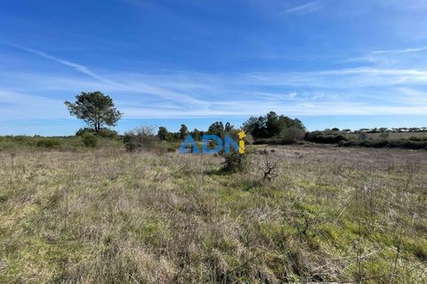 Terra a Ninho do Acor, Castelo Branco, Ninho do Acor - € 69.000 | Ref: 125006 - foto 20