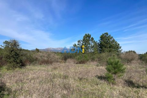 Terra a Ninho do Acor, Castelo Branco, Ninho do Acor - € 69.000 | Ref: 125006 - foto 21