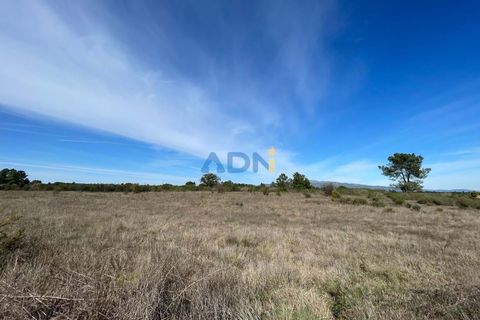 Terra a Ninho do Acor, Castelo Branco, Ninho do Acor - € 69.000 | Ref: 125006 - foto 22