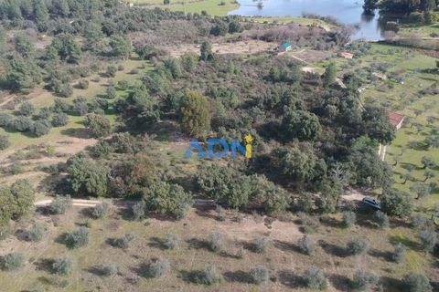 Terra a Ninho do Acor, Castelo Branco, Ninho do Acor - € 69.000 | Ref: 125006 - foto 23