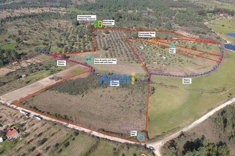 Terra a Ninho do Acor, Castelo Branco, Ninho do Acor - € 69.000 | Ref: 125006 - foto 24