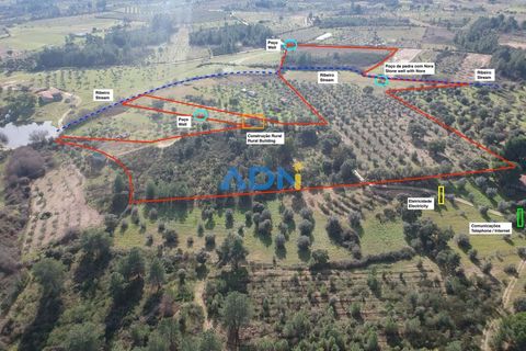 Terra a Ninho do Acor, Castelo Branco, Ninho do Acor - € 69.000 | Ref: 125006 - foto 25