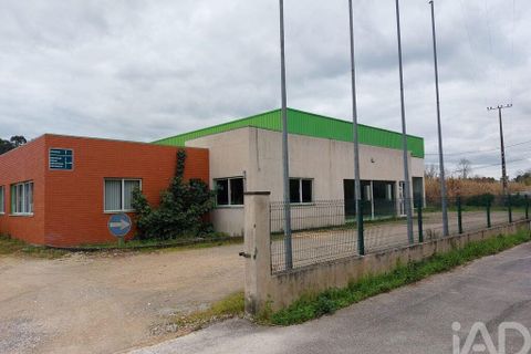 Erhvervsejendom i Cantanhede, Coimbra, Cantanhede - € 750.000 | Ref: 136765 - foto 4