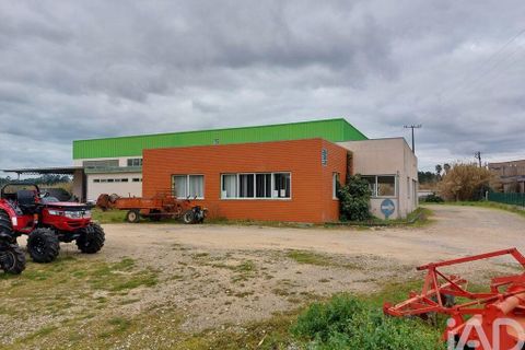 Erhvervsejendom i Cantanhede, Coimbra, Cantanhede - € 750.000 | Ref: 136765 - foto 5