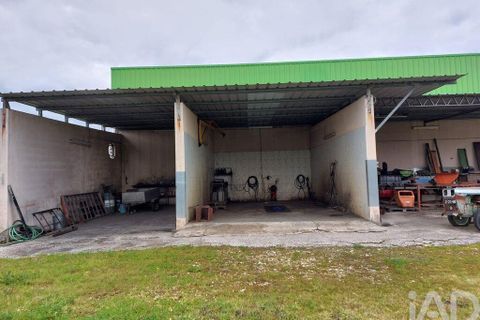 Erhvervsejendom i Cantanhede, Coimbra, Cantanhede - € 750.000 | Ref: 136765 - foto 8