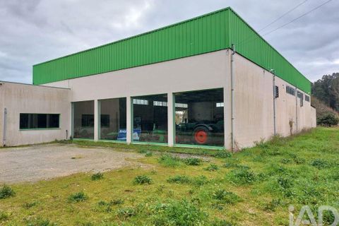 Erhvervsejendom i Cantanhede, Coimbra, Cantanhede - € 750.000 | Ref: 136765 - foto 9