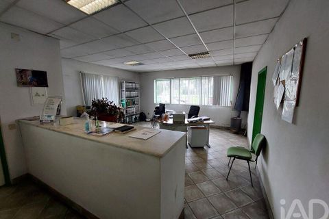Erhvervsejendom i Cantanhede, Coimbra, Cantanhede - € 750.000 | Ref: 136765 - foto 10
