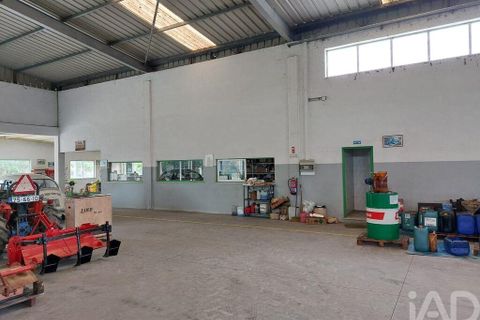 Erhvervsejendom i Cantanhede, Coimbra, Cantanhede - € 750.000 | Ref: 136765 - foto 15