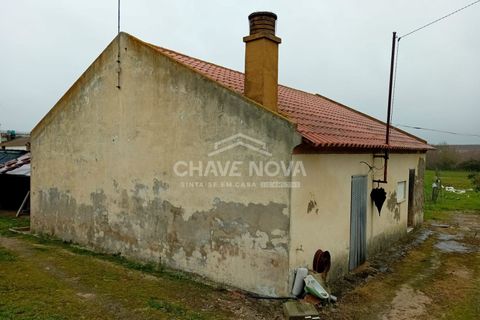 Farm i Mora, Evora, Mora - € 165.000 | Ref: SXL/00165 - foto 2