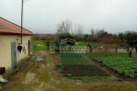 Farm i Mora, Evora, Mora - € 165.000 | Ref: SXL/00165 - foto 3