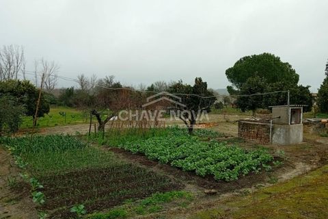 Farm i Mora, Evora, Mora - € 165.000 | Ref: SXL/00165 - foto 4