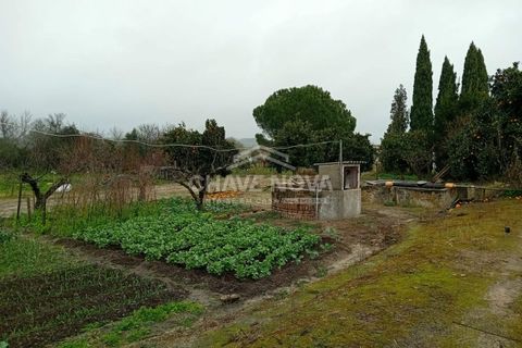 Farm i Mora, Evora, Mora - € 165.000 | Ref: SXL/00165 - foto 8