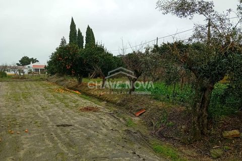 Farm i Mora, Evora, Mora - € 165.000 | Ref: SXL/00165 - foto 11