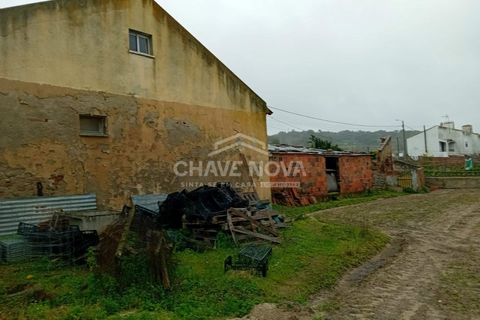 Farm i Mora, Evora, Mora - € 165.000 | Ref: SXL/00165 - foto 12