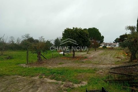 Farm i Mora, Evora, Mora - € 165.000 | Ref: SXL/00165 - foto 15