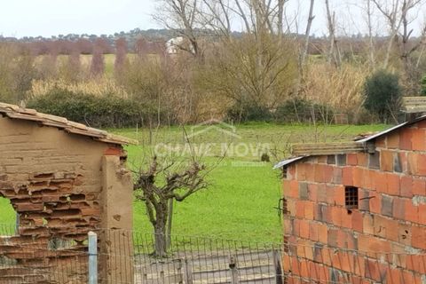 Farm i Mora, Evora, Mora - € 165.000 | Ref: SXL/00165 - foto 14