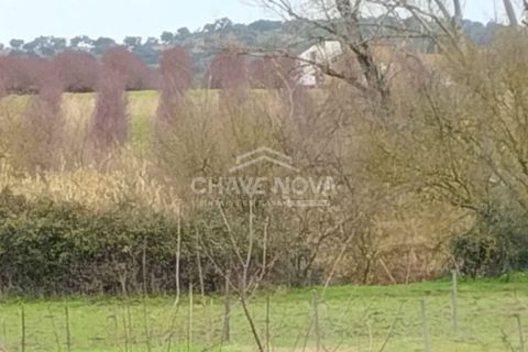Farm i Mora, Evora, Mora - € 165.000 | Ref: SXL/00165 - foto 19