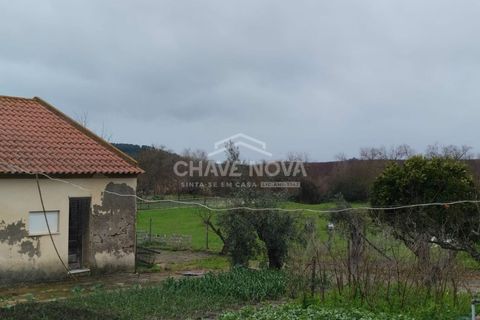 Farm i Mora, Evora, Mora - € 165.000 | Ref: SXL/00165 - foto 10