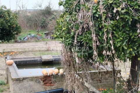 Farm i Mora, Evora, Mora - € 165.000 | Ref: SXL/00165 - foto 16