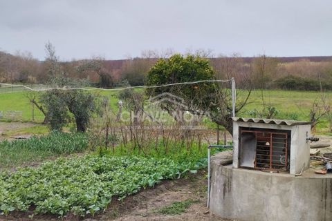 Farm i Mora, Evora, Mora - € 165.000 | Ref: SXL/00165 - foto 17