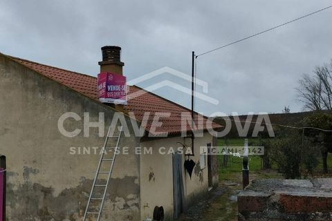 Farm i Mora, Evora, Mora - € 165.000 | Ref: SXL/00165 - foto 13