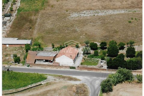 Farm i Mora, Evora, Mora - € 165.000 | Ref: SXL/00165 - foto 18