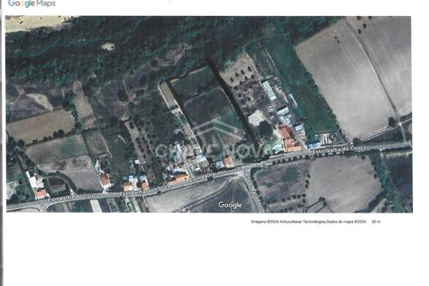 Farm i Mora, Evora, Mora - € 165.000 | Ref: SXL/00165 - foto 20