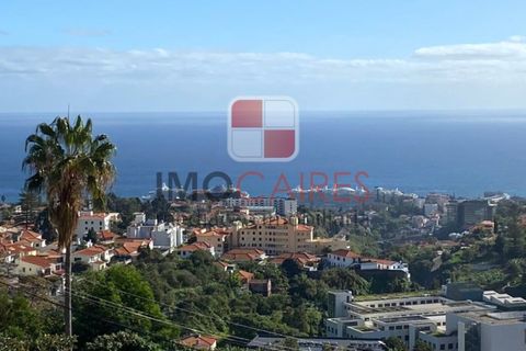 Villa a Sao Roque, Madeira, Sao Roque - € 1.800.000 | Ref: 1812/2023 - foto 24
