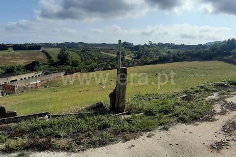 Erhvervsejendom i Cadaval, Lisbon, Cadaval - € 250.000 | Ref: 179240351 - foto 3