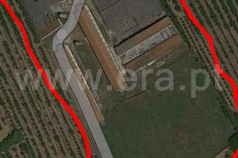 Erhvervsejendom i Cadaval, Lisbon, Cadaval - € 250.000 | Ref: 179240351 - foto 4