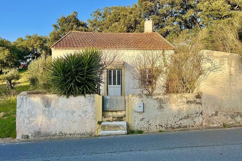Villa i Rio Maior, Santarem, Rio Maior - € 160.000 | Ref: 121331259-59 - foto 1