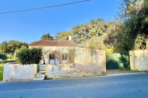 Villa i Rio Maior, Santarem, Rio Maior - € 160.000 | Ref: 121331259-59 - foto 15
