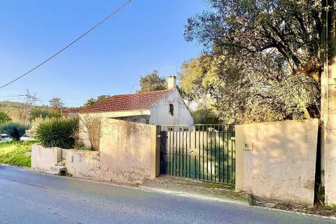 Villa i Rio Maior, Santarem, Rio Maior - € 160.000 | Ref: 121331259-59 - foto 16