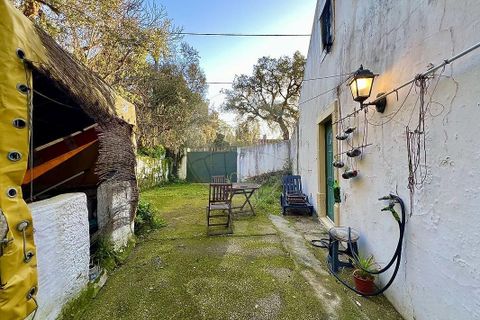 Villa i Rio Maior, Santarem, Rio Maior - € 160.000 | Ref: 121331259-59 - foto 18