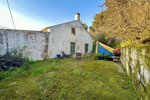 Villa i Rio Maior, Santarem, Rio Maior - € 160.000 | Ref: 121331259-59 - foto 17