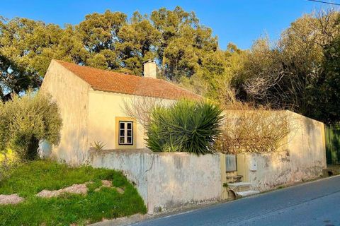 Villa i Rio Maior, Santarem, Rio Maior - € 160.000 | Ref: 121331259-59 - foto 19