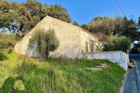 Villa i Rio Maior, Santarem, Rio Maior - € 160.000 | Ref: 121331259-59 - foto 20