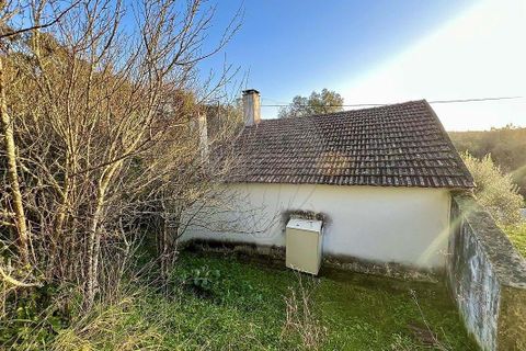 Villa i Rio Maior, Santarem, Rio Maior - € 160.000 | Ref: 121331259-59 - foto 21