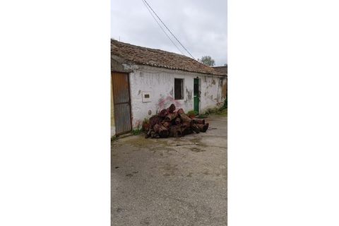 Landejendom i Abrantes, Santarem, Abrantes - € 50.000 | Ref: CAS_63 - foto 3