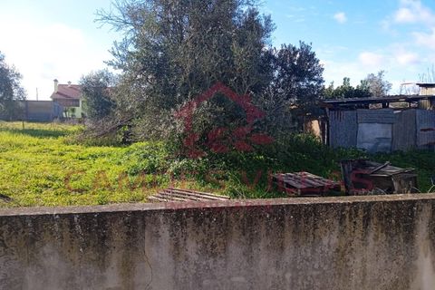 Landejendom i Abrantes, Santarem, Abrantes - € 50.000 | Ref: CAS_63 - foto 6