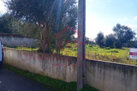 Landejendom i Abrantes, Santarem, Abrantes - € 50.000 | Ref: CAS_63 - foto 7