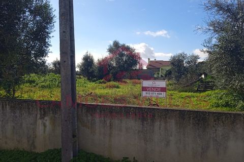 Landejendom i Abrantes, Santarem, Abrantes - € 50.000 | Ref: CAS_63 - foto 11