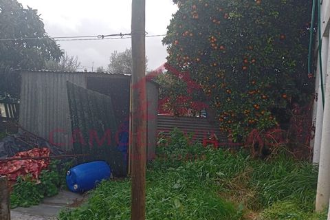 Landejendom i Abrantes, Santarem, Abrantes - € 50.000 | Ref: CAS_63 - foto 12