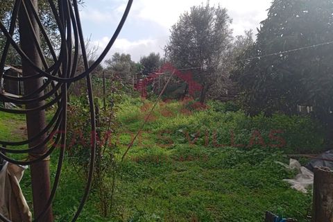 Landejendom i Abrantes, Santarem, Abrantes - € 50.000 | Ref: CAS_63 - foto 13