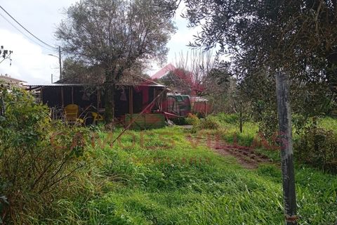 Landejendom i Abrantes, Santarem, Abrantes - € 50.000 | Ref: CAS_63 - foto 14