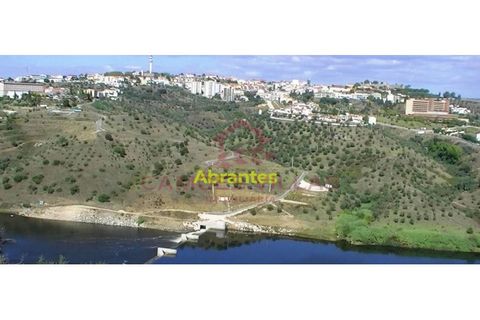 Landejendom i Abrantes, Santarem, Abrantes - € 50.000 | Ref: CAS_63 - foto 17