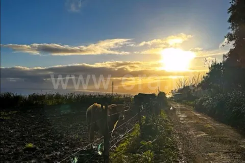Helårsgrund i Horta, Faial, Horta - € 65.000 | Ref: 374250029 - foto 3