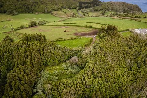 Helårsgrund i Horta, Faial, Horta - € 65.000 | Ref: 374250029 - foto 9