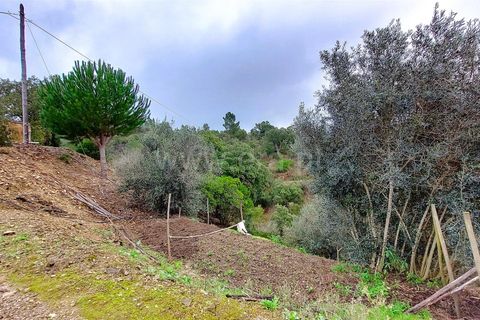 Villa i Monchique, Faro, Monchique - € 540.000 | Ref: 359250024 - foto 23